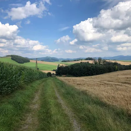 Am Wald Mit Garten & Hot-tub & Alpakas Appartement