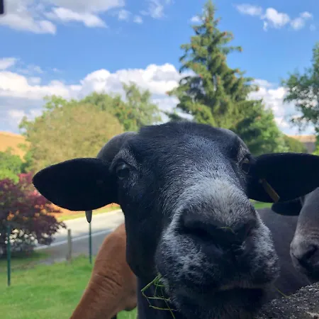 Am Wald Mit Garten & Hot-tub & Alpakas