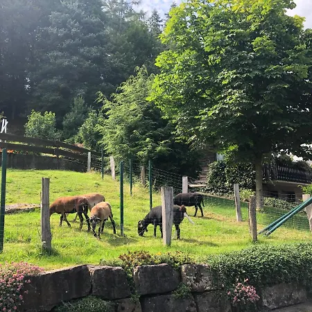 Appartement Am Wald Mit Garten & Hot-tub & Alpakas *