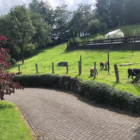 Am Wald Mit Garten & Hot-tub & Alpakas Appartement