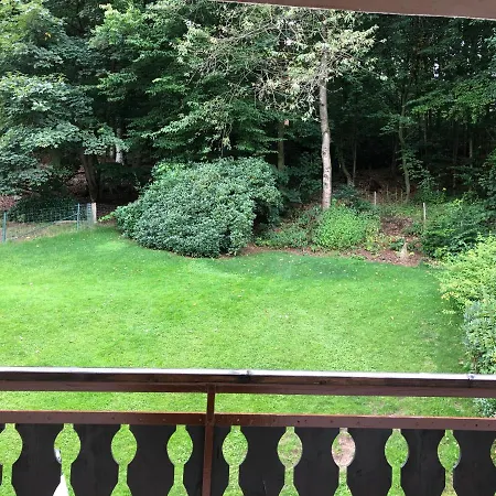 Am Wald Mit Garten & Hot-tub & Alpakas Meschede