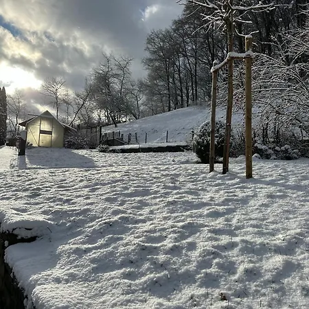 Am Wald Mit Garten & Hot-tub & Alpakas דירה משדה