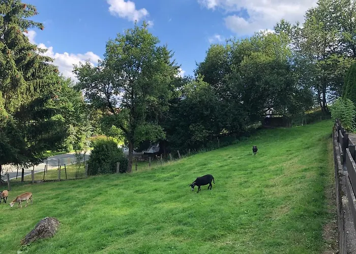 Apartmán Am Wald Mit Garten & Hot-tub & Alpakas Meschede