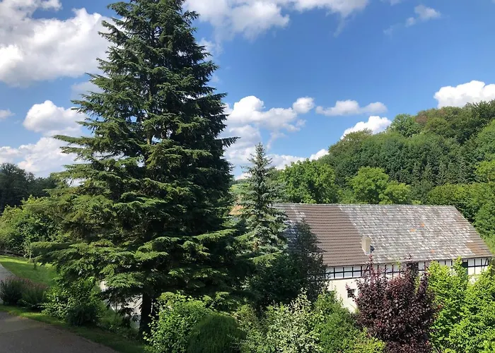 Apartamento Am Wald Mit Garten & Hot-tub & Alpakas Meschede