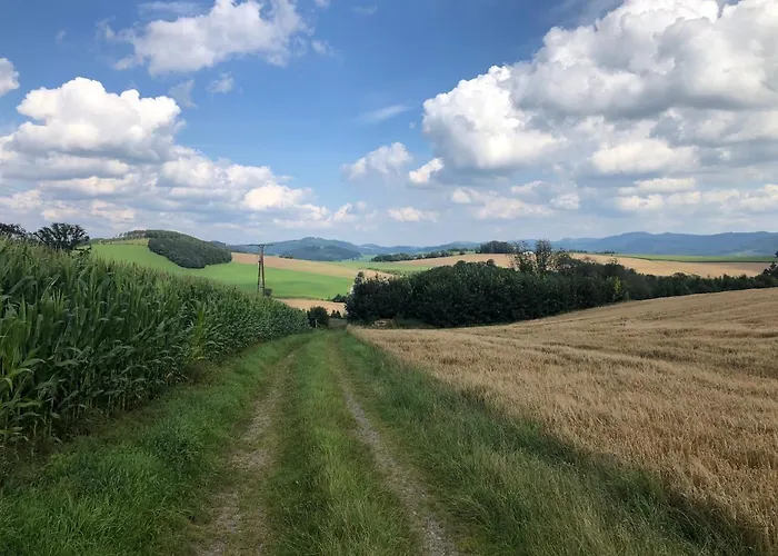 Am Wald Mit Garten & Hot-tub & Alpakas 아파트
