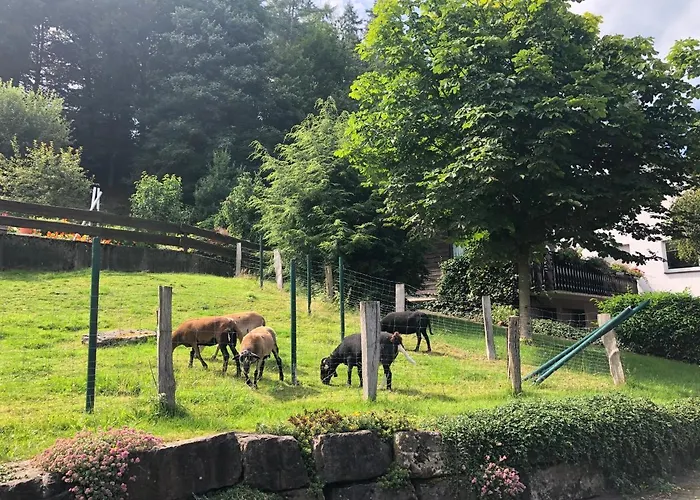 Apartmán Am Wald Mit Garten & Hot-tub & Alpakas *