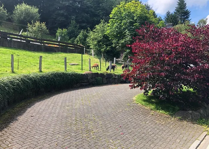 Am Wald Mit Garten & Hot-tub & Alpakas * Meschede