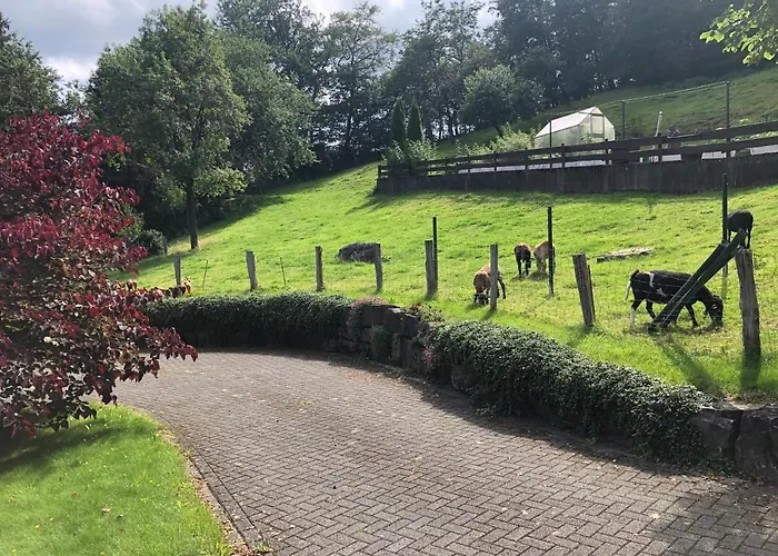 Am Wald Mit Garten & Hot-tub & Alpakas Apartamento