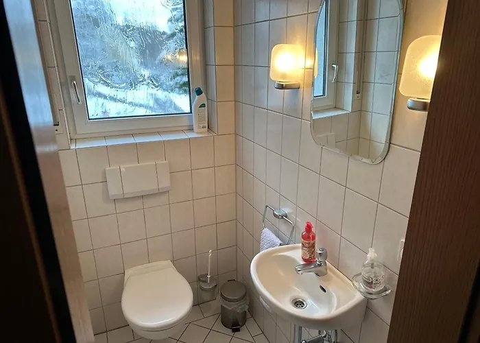 Am Wald Mit Garten & Hot-tub & Alpakas Meschede