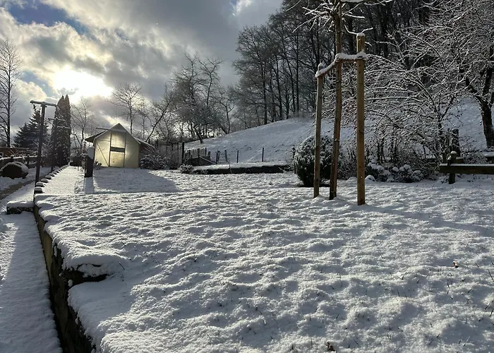 Am Wald Mit Garten & Hot-tub & Alpakas Apartmán Meschede